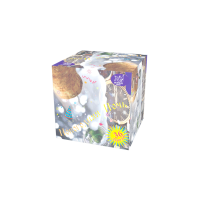 Новогодняя ночь Салют купить в Смоленске | smolensk.salutsklad.ru