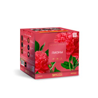 Пионы Салют купить в Смоленске | smolensk.salutsklad.ru