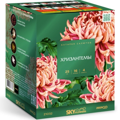 Хризантемы Фейерверк купить в Смоленске | smolensk.salutsklad.ru