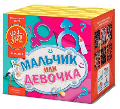 Мальчик или девочка М Фейерверк купить в Смоленске | smolensk.salutsklad.ru